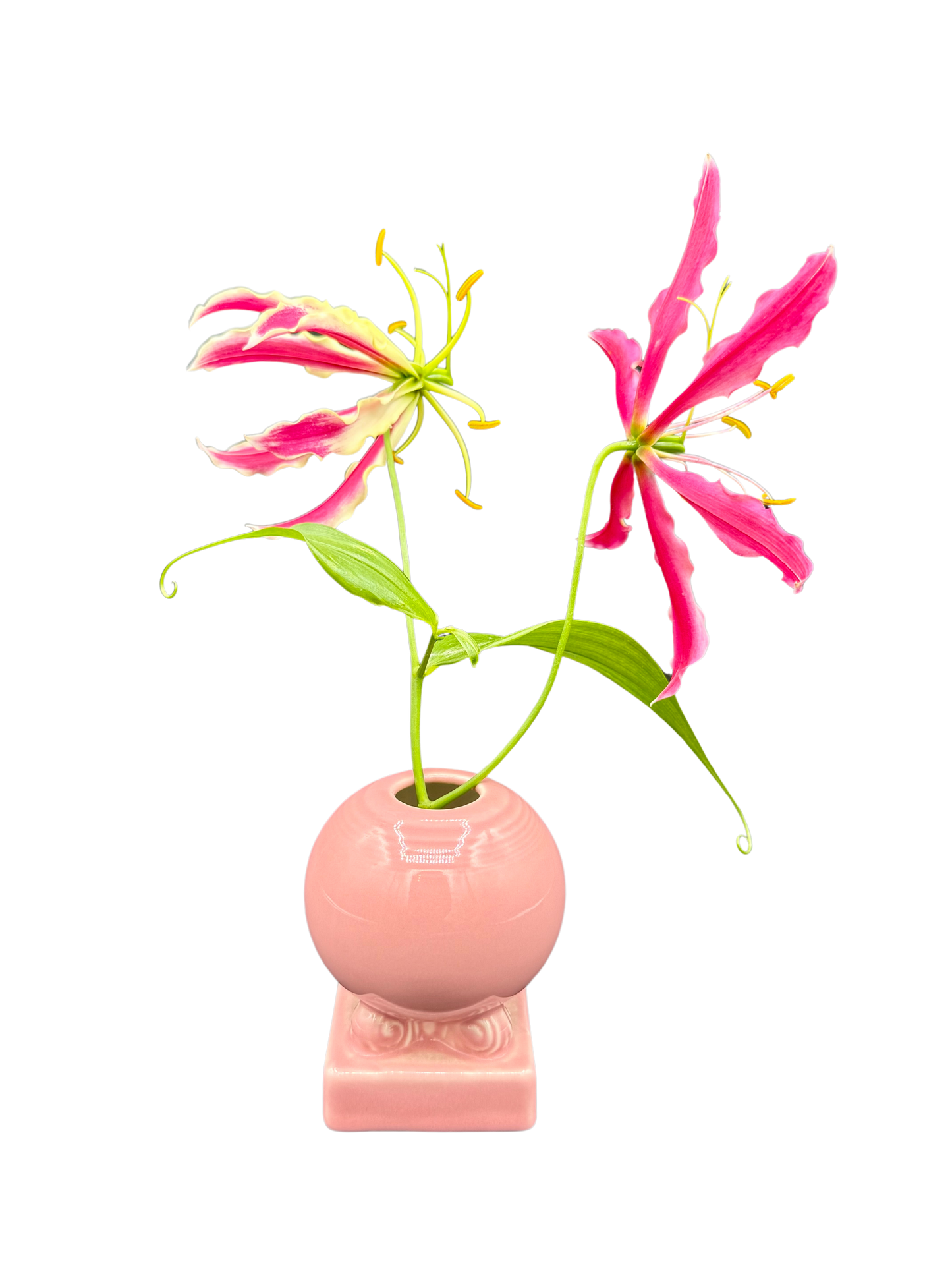 Vintage Fiestaware pink ceramic vase with two dramatic pink gloriosa lilies, whimsical styling