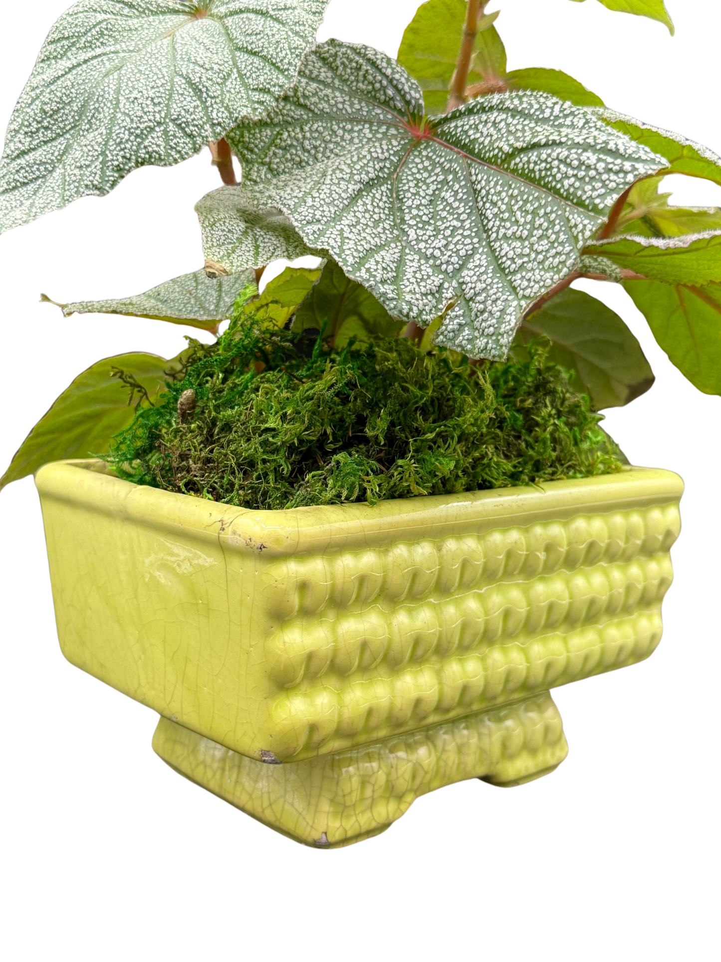 Side angle showing glaze crazing and chip in the glaze on base of vintage Fredericksburg planter