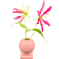 Vintage Fiestaware pink ceramic vase with two dramatic pink gloriosa lilies, whimsical styling
