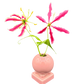  Single pink Fiestaware globe holder used as a bud vase with pink gloriosa lilies